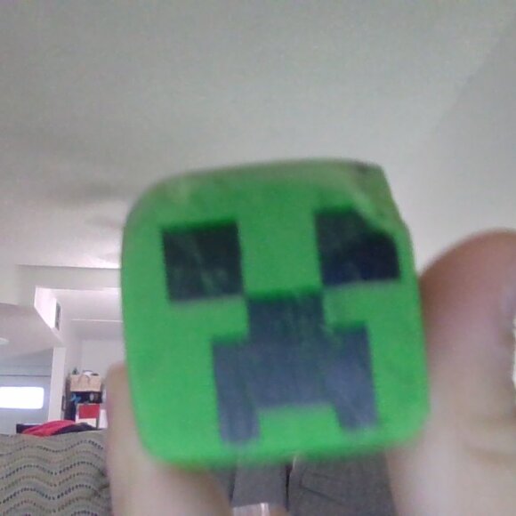 sofe - Picture 7 of 17